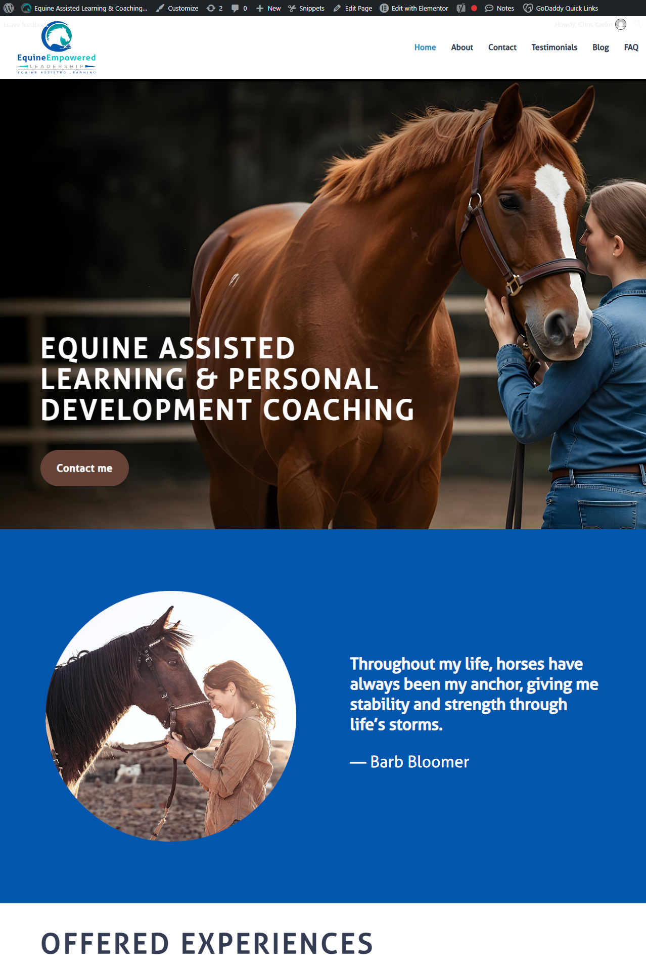 Equine Empowered Leadership's website before the redesign